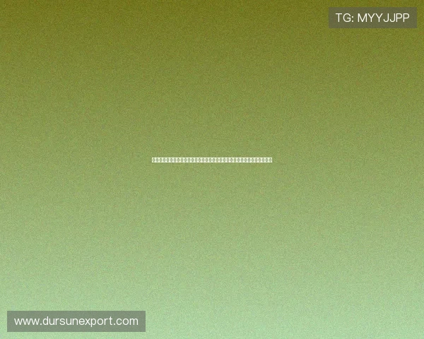 亚星娱乐正规网址大全，涵盖最新上线的安全可靠游戏平台满足不同玩家需求